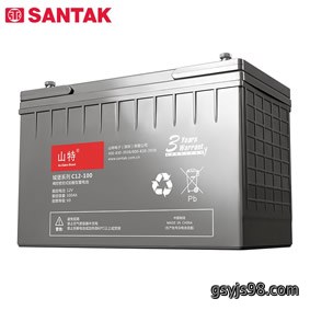 山特（SANTAK）C12-100 山特UPS电源 12